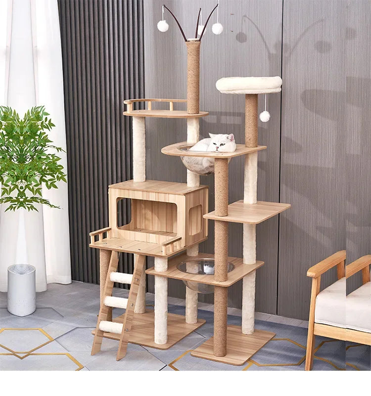 Arbres à chats design et confort