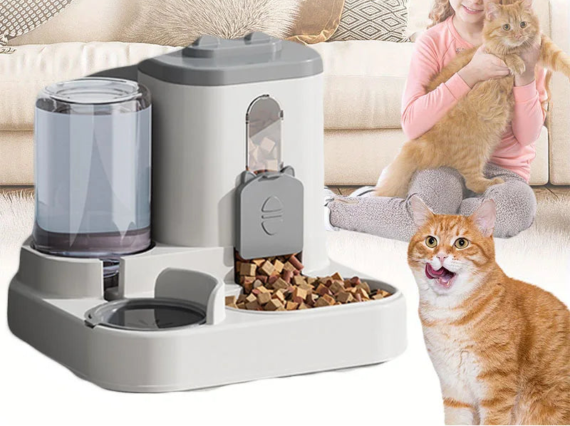 Bol pour chat mangeoire automatique avec fontaine