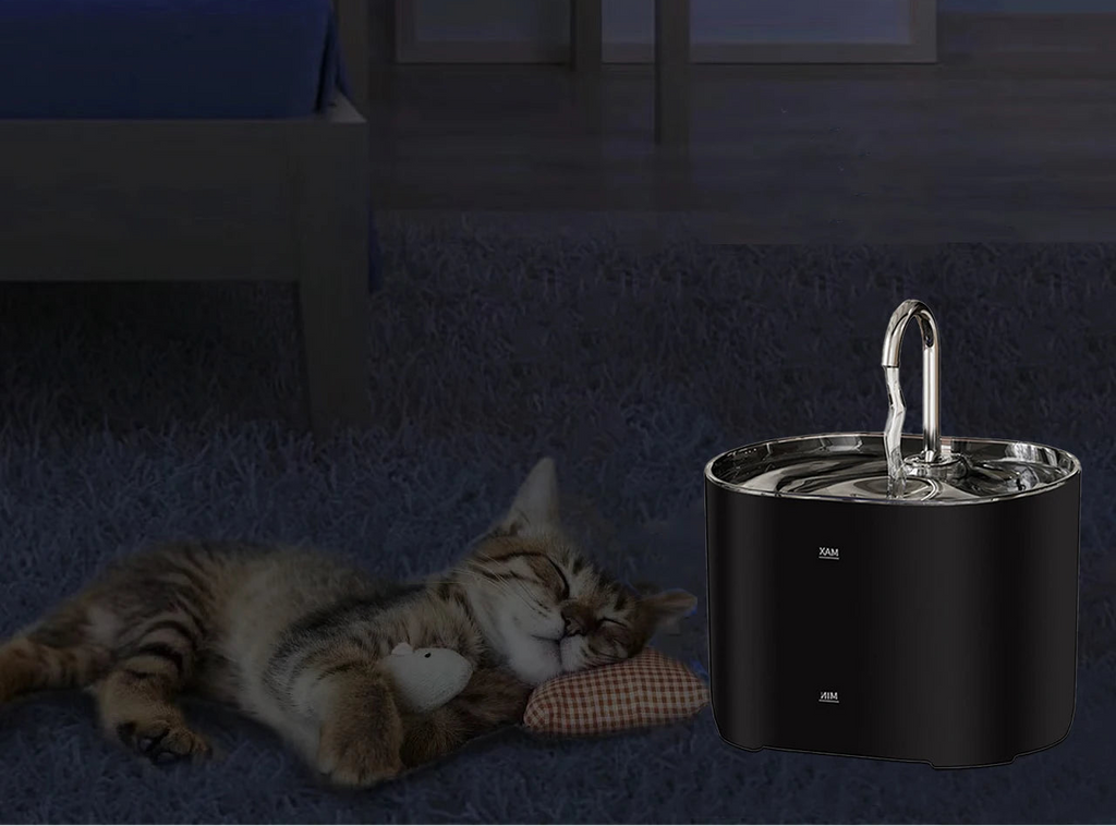 Fontaine d’eau pour chat