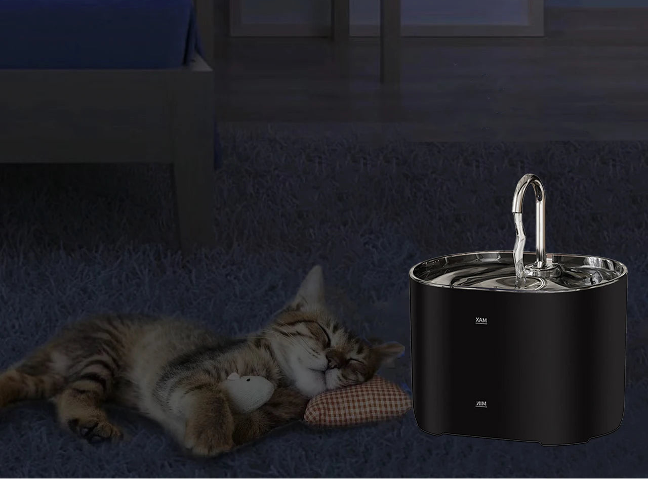 Fontaine d’eau pour chat