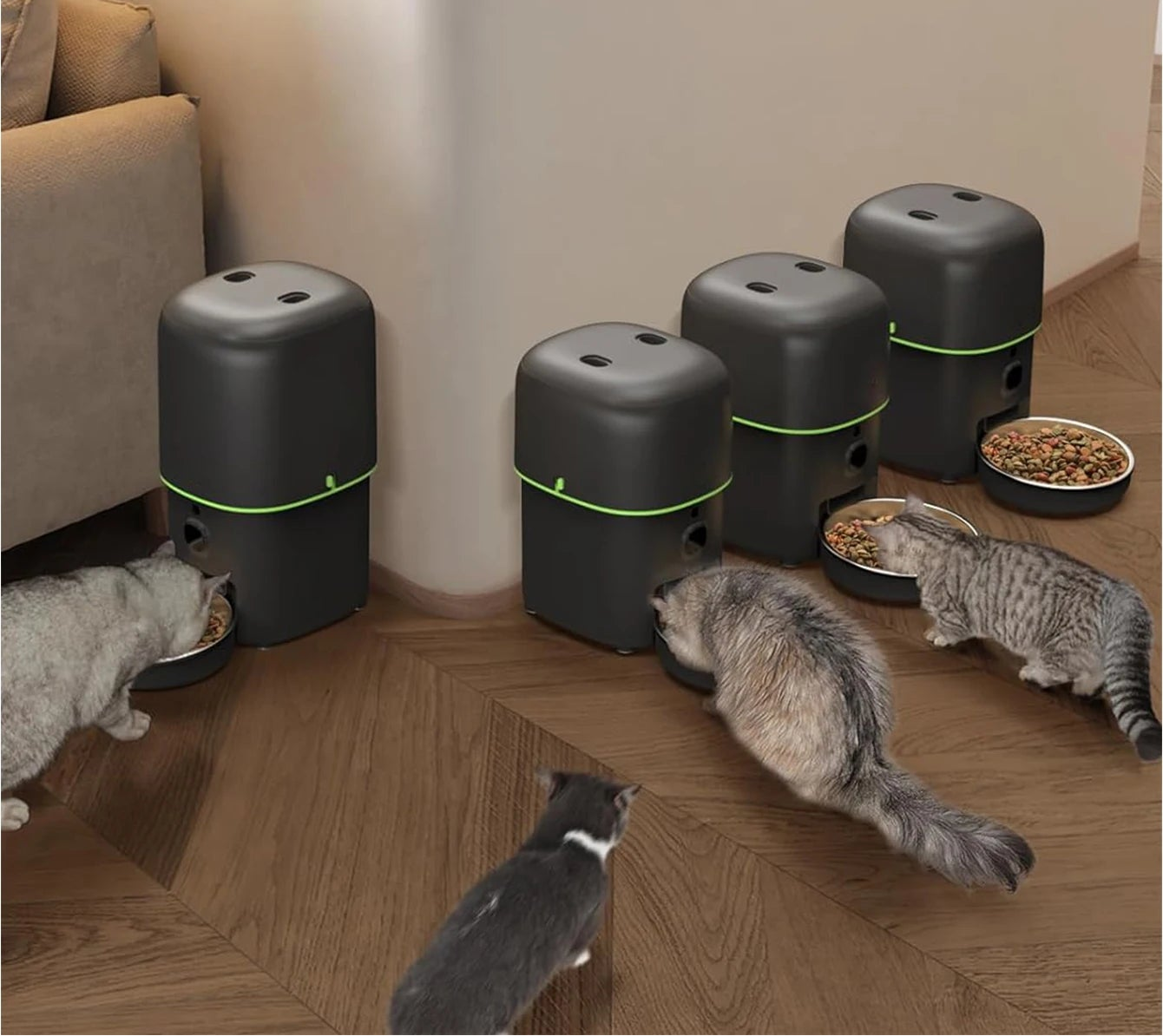 Gamelle automatique intelligente chat