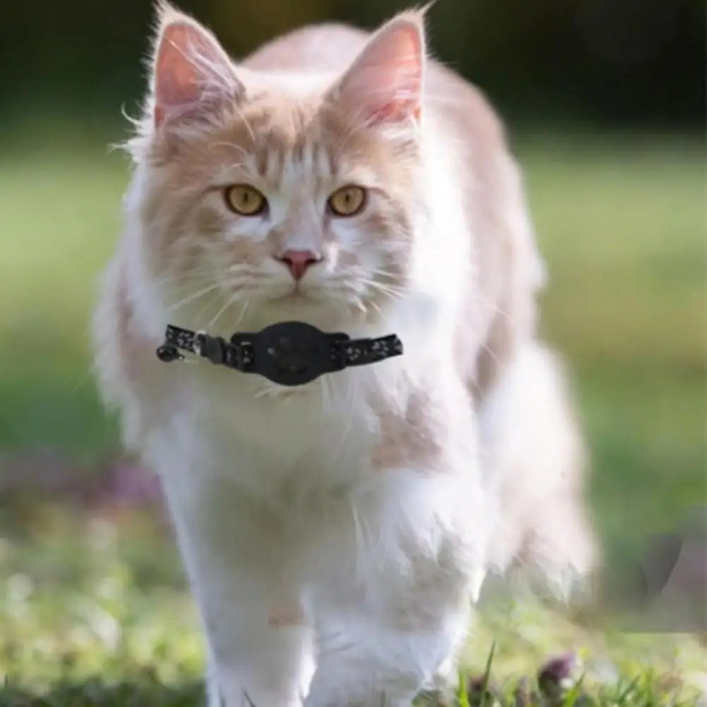 Collier GPS Intelligent pour Chat