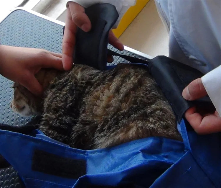 Sac de Transport Fixe et Pliable pour Chat