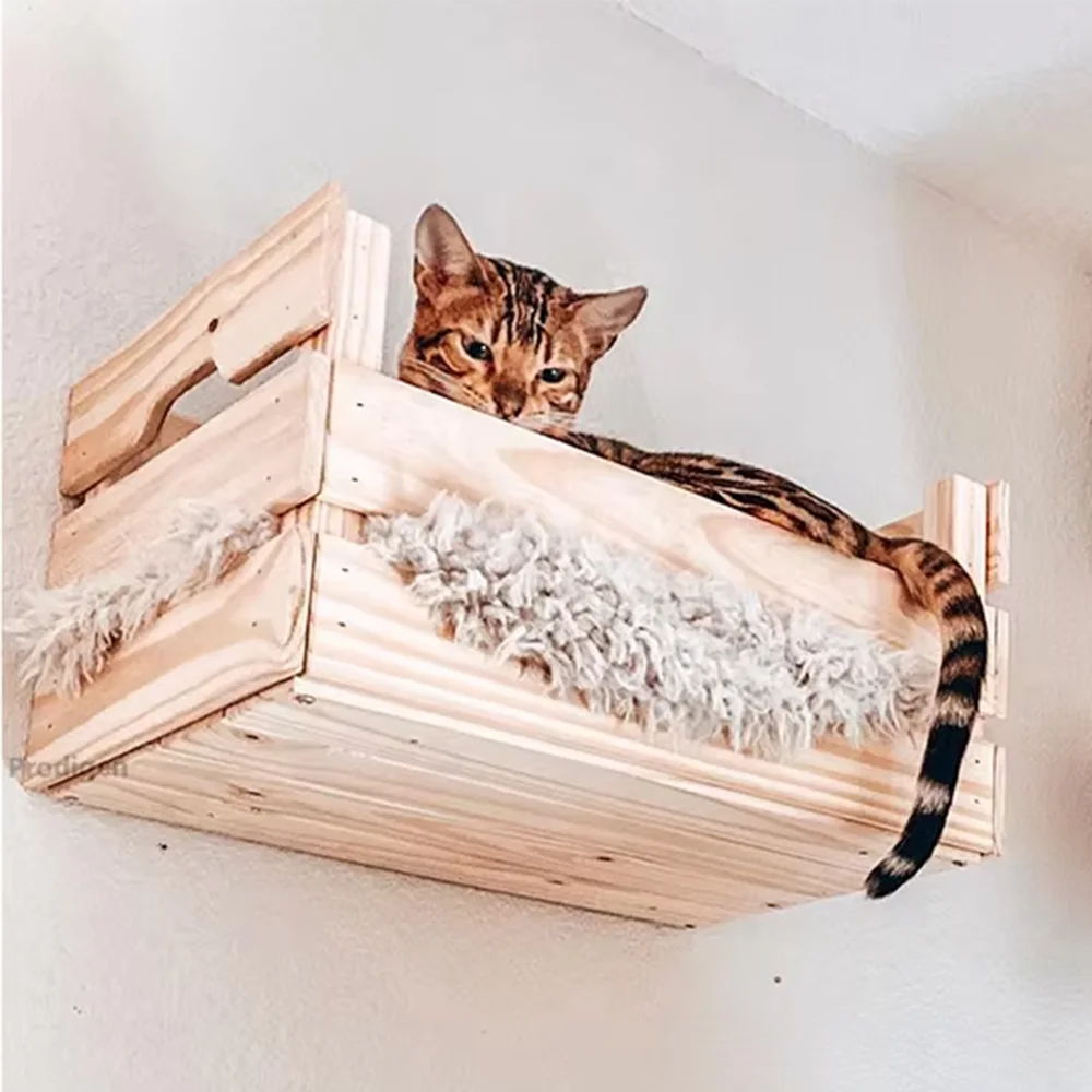 Pack Aventure Féline