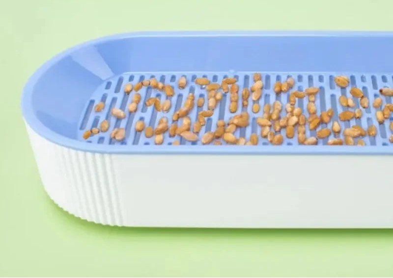 Boîte d'herbe à chat hydroponique