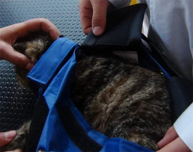 Sac de Transport Fixe et Pliable pour Chat