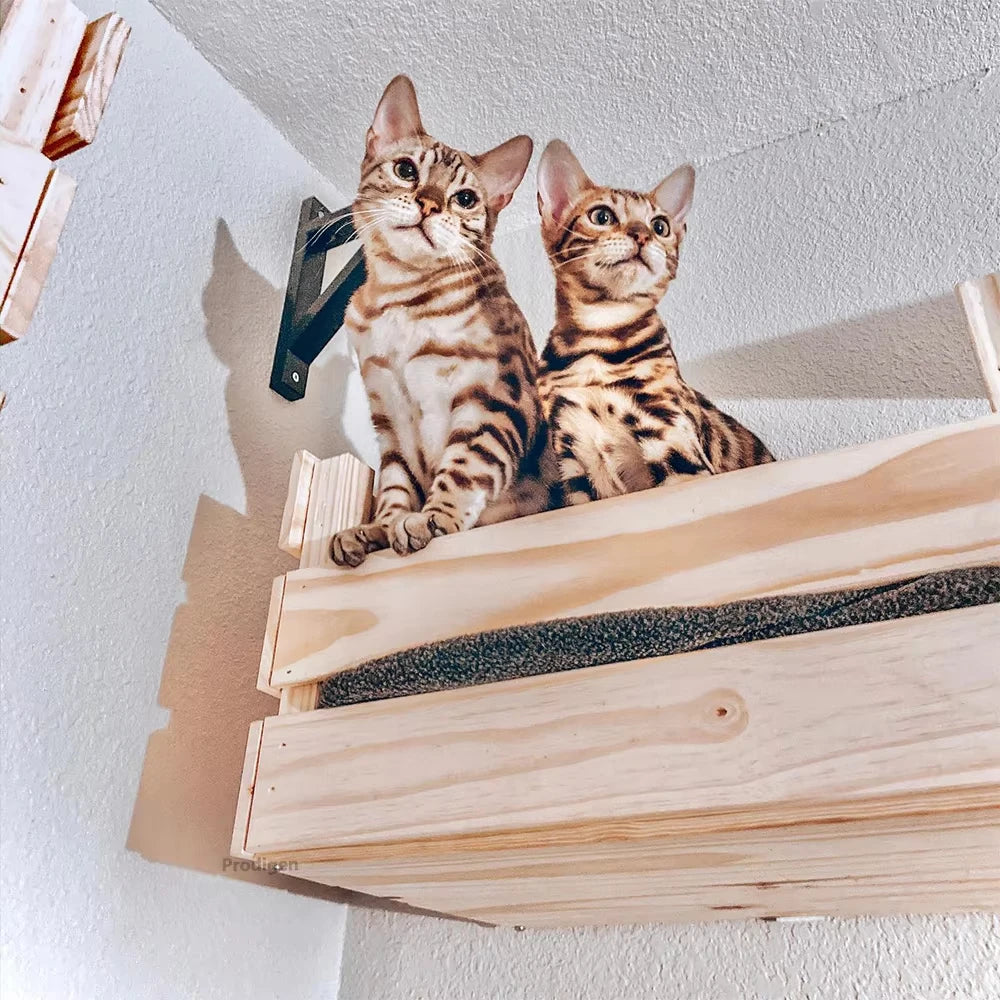 Panier mural en bois pour chat
