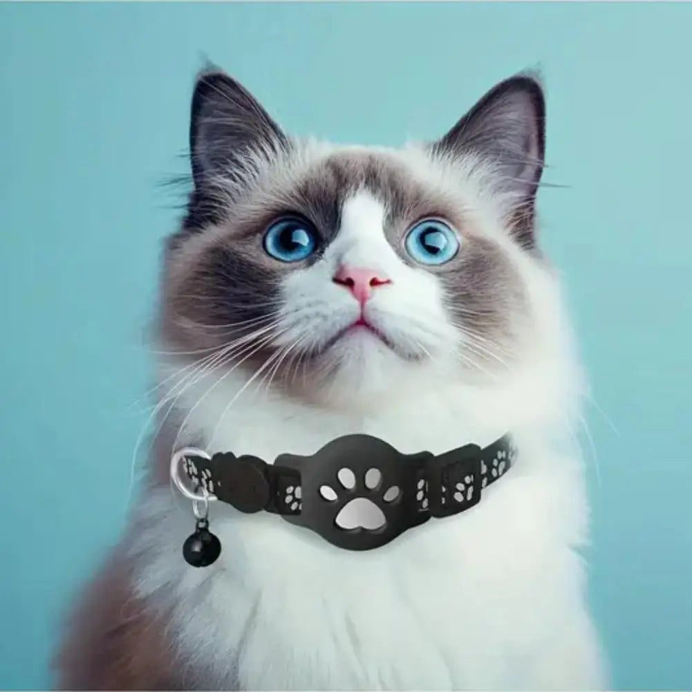 Collier GPS Intelligent pour Chat