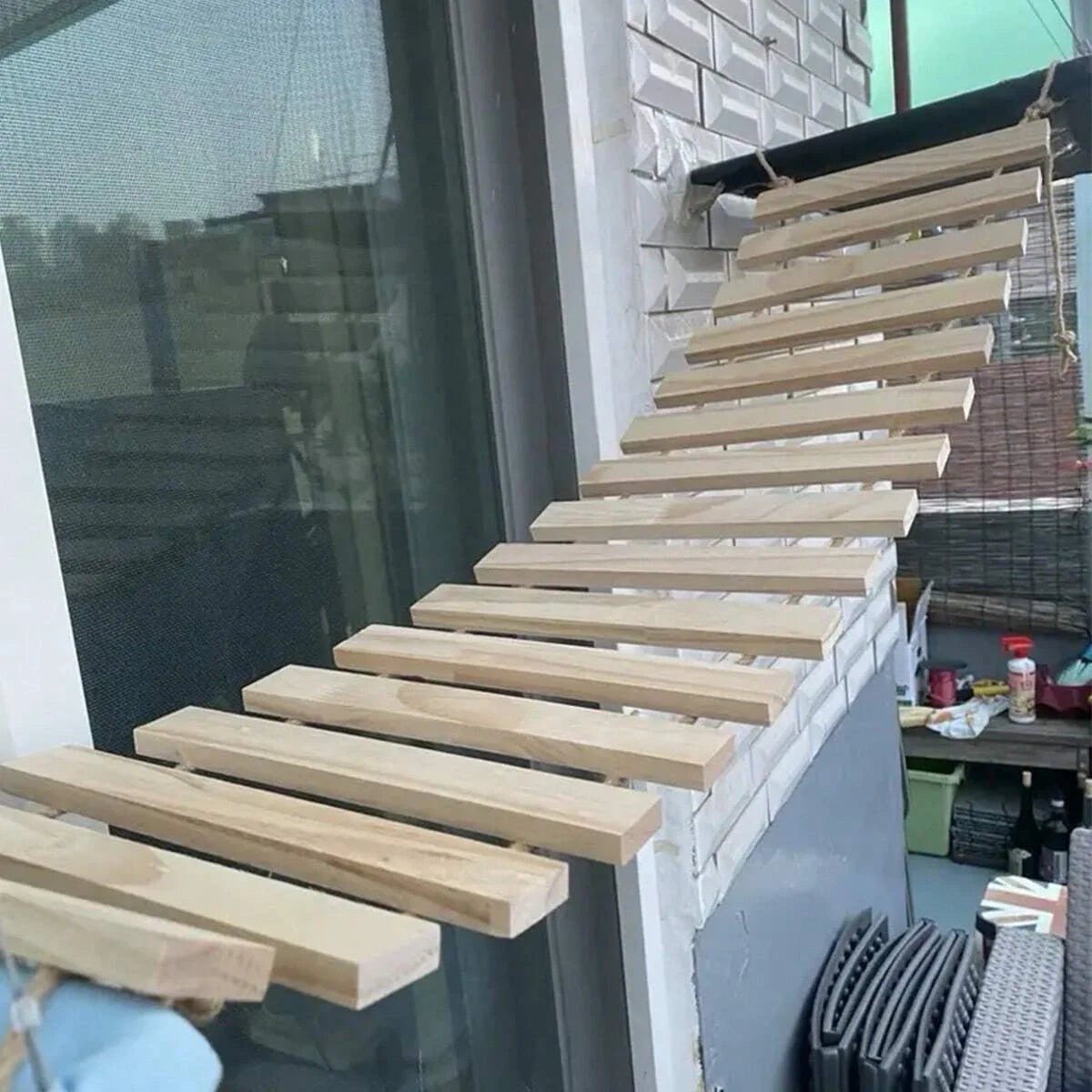 Pack Aventure Féline