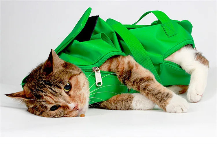Sac de Transport Fixe et Pliable pour Chat