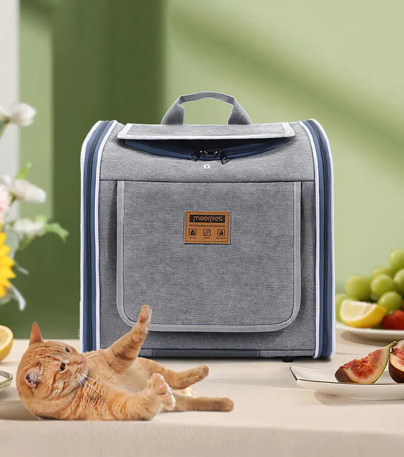 Sac de transport de vélo pour chat