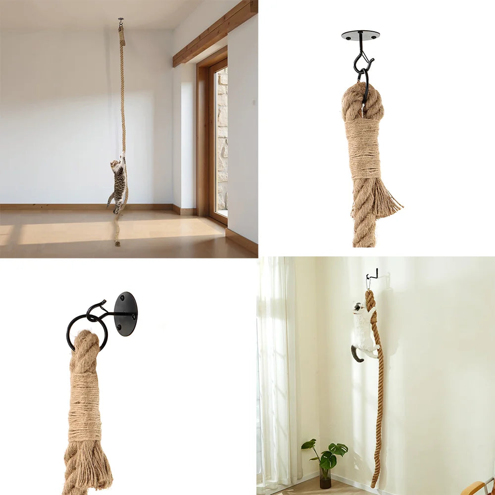 Corde d'escalade au plafond pour chat