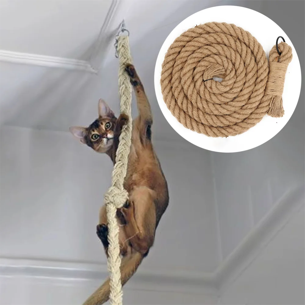 Corde d'escalade au plafond pour chat