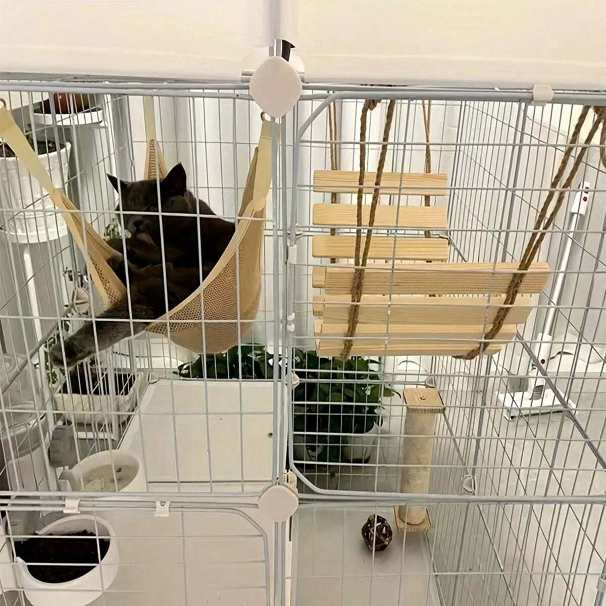 Échelle d'escalade en bois naturel