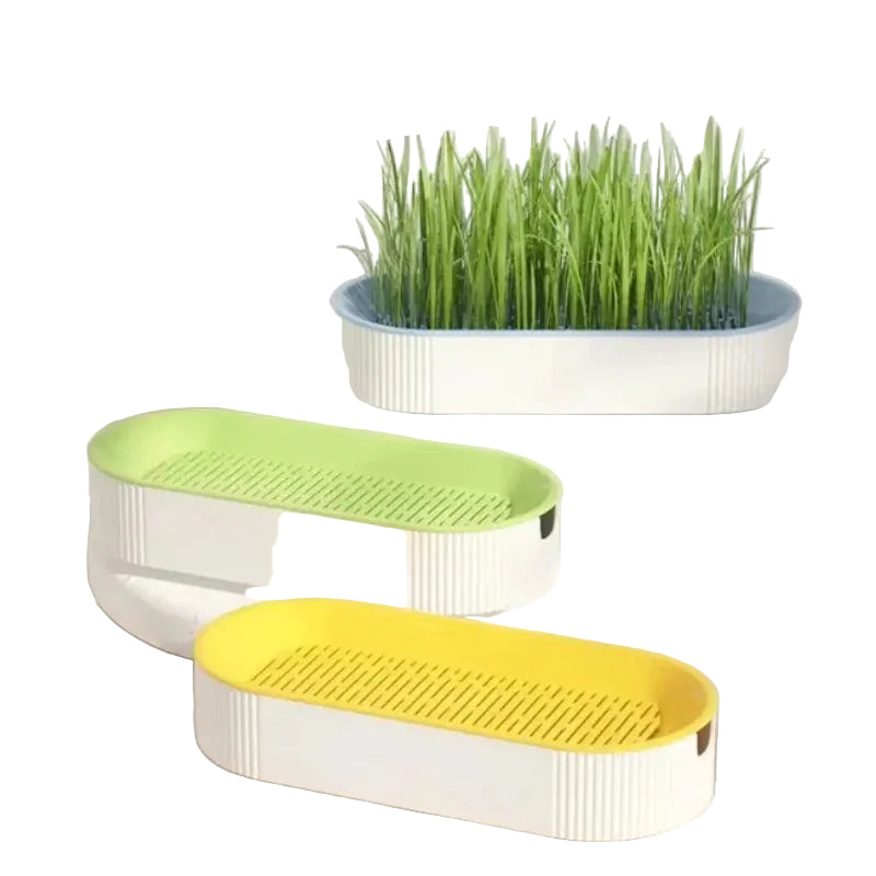 Boîte d'herbe à chat hydroponique