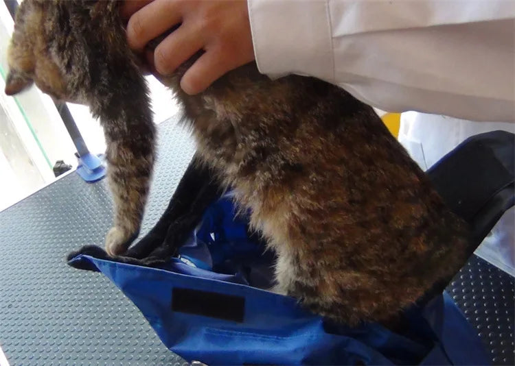 Sac de Transport Fixe et Pliable pour Chat