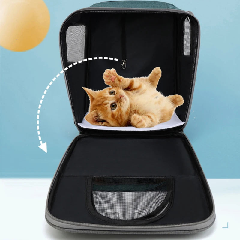 Sac à dos de transport pour chat