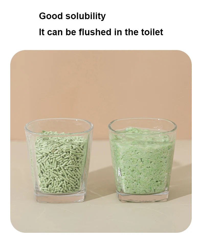 Litière pour chat, plante naturelle 6L