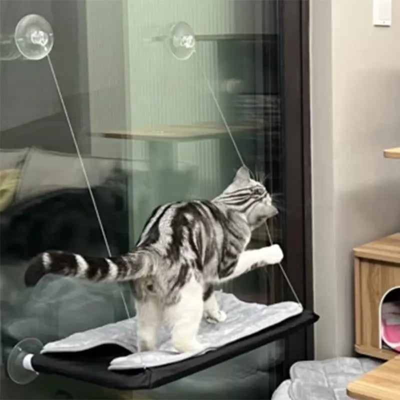 Hamac de fenêtre pour chat
