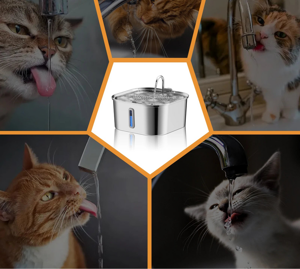 Fontaine pour Chat 7L