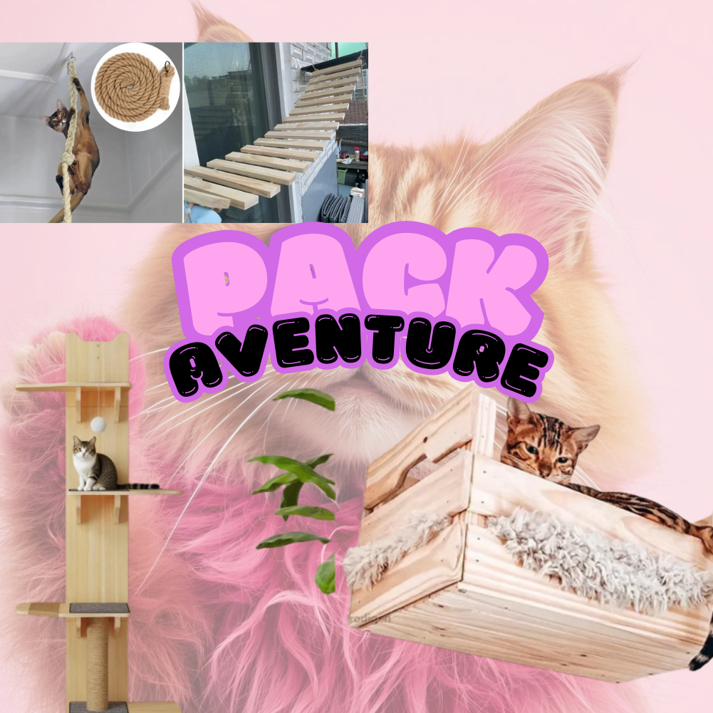 Pack Aventure Féline